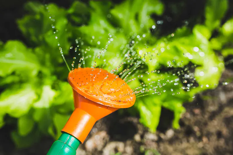Tuin voor het onderhoud