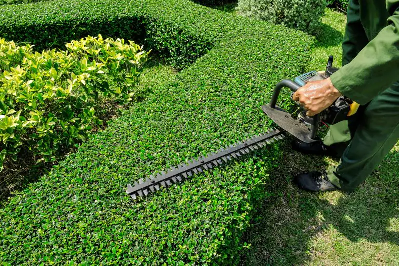Snoeien en beplanting door Stevaro Hoveniers